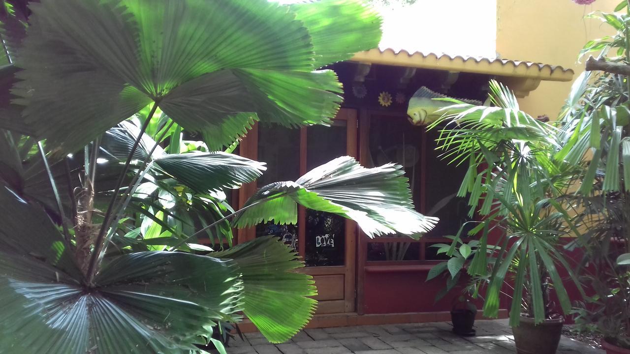 Casa Kin33 Frühstückspension Cancún